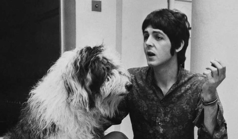 paul-maccartney