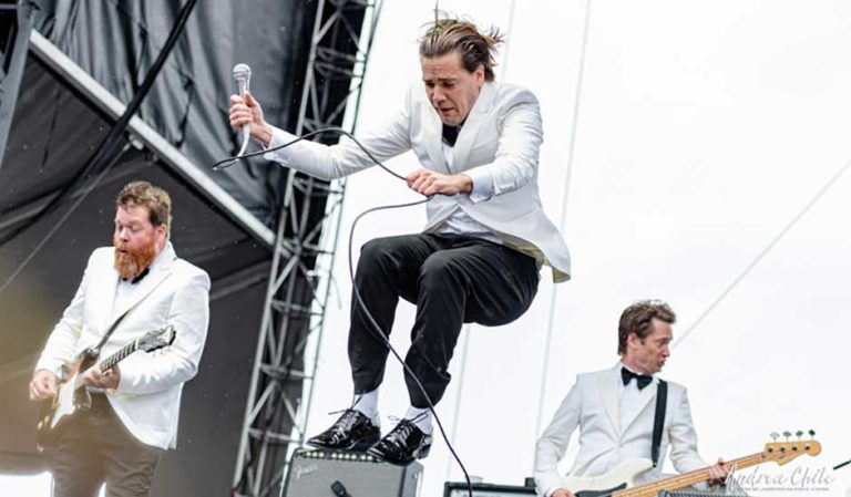 The Hives